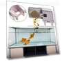 Smart Automatic Fish Feeder — Feeders, odeer