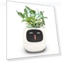 Smart Flower Pot with Robot Navigator — Vases, HappyToy