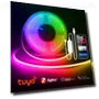 Smart Zigbee USB LED Strip Light — LED Strips, MALITAI