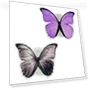 Smart Talking Butterfly Set — Interactive Animal Companions, Board M Factory