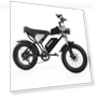 Electric Bike — Electric Vehicles, Ridstar