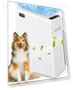 Large Room Air Purifier — Activated Carbon Air Purifiers, Mooka Family
