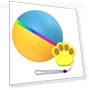 Intelligent pet dog toy ball — Balls