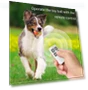Intelligent pet toy ball — Interactive Animal Companions