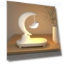 Moon Shape Bluetooth Speaker Night Light LED Table Lamp — Desk & Table Lighting
