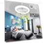 Smart Ceiling Fan with Light — Ceiling Fan Lighting Solutions, Cosy Homes