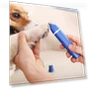 Dog Grooming Kit with Nail Clipper — Hair Clippers, Pet park