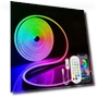 RGB LED Strip Light — LED Strips, Rybakov Home Lighting