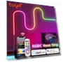 RGBIC Wi-Fi Neon LED Strip Light — LED Strips, Rybakov Home Lighting