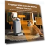 Smart Pet Feeder — Automatic Feeders, PETART