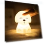 Colorful LED Night Light for Dogs — Night Lights, We Satisfied