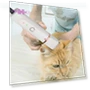 Electric Pet Grooming Kit 4-in-1 — Hair Clippers, Elegant Living House