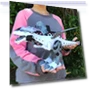 Electronic Walking Dinosaur Toy — Musical Toys, JJRC