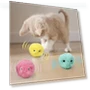 Interactive Cat Toy Ball — Cat Playthings, Ding Dong Fashion