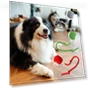Interactive Lettuce Rolling Ball Toy — Interactive Animal Companions, Chicago Rose