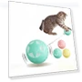 Interactive Smart Ball for Cats — Balls, Happypilot