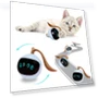 Interactive Smart Toy for Cats — Cat Playthings, JUN JUN