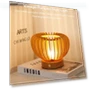 Retro LED Pumpkin Table Lamp — Creative Lighting Solutions, Binchi Lighting Appliances