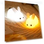 Touch Night Lights with Rabbit — Night Lights, WBL