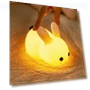Touch Night Lights with Rabbit — Night Lights, Factory Discount Outlet