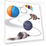 Electric Cat Toy Ball — Cat Playthings, Be a good person