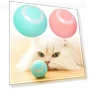 Interactive Cat Toy — Cat Playthings, guba8198