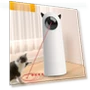 Interactive Laser Toy for Smart Pets — Interactive Animal Companions, Living style
