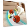 Interactive Pet Toy Ball — Cat Playthings, xly1818