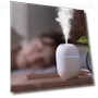 Mini Ultrasonic Air Humidifier — Diffusers, VITA Dogdog Smartwear