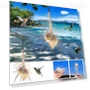 Smart Bird Feeder — Backyard Birding, YiGeiWoLiGiaoGiao