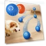 Smart Interactive Pet Toy Ball — Interactive Animal Companions, Huaqiang North Electronics