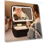 Smart LED Cosmetic Bag with Mirror — Cosmetic Cases, Makeup Kits