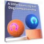 Smart Toy for Dogs — Automatic Launchers, Happypilot