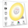 Sunrise Simulation Alarm Clock — Alarms & Clocks, Q-Girl
