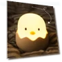 Chick Egg Night Light — Night Lights, Binchi Lighting Appliances