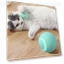 Funny Pet Toys Exercise Chase Electric Ball — Cat Playthings, Sock