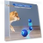 LED Light-Up Jump Ball for Pets — Balls, Talos home Garden