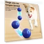 LED Rolling Pet Ball — Cat Playthings, Talos home Garden