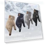 Men's Winter Knitted Touchscreen Gloves — Gloves & Mittens, Zoeneed