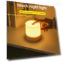Touch Bedside Lamp — Night Lights, Cosy Homes