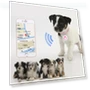 Bluetooth Anti-Loss Smart Keychain — Item Locators, lanle
