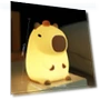 Capybara Night Light — Lamps & Shades, Power gears
