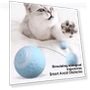 Interactive Cat Ball — Cat Playthings, Love Pet House