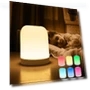 LED Night Light with Wireless Charging — Night Lights, Binchi Lighting Appliances