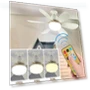 Small LED Ceiling Fan — Ceiling Fan Lighting Solutions, JM ZH