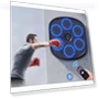 Smart Bluetooth Music Boxing Wall Target — Boxing Training Gear, Binchi Outdoor Equipment