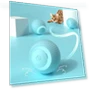 Smart Cat Toy with Rolling Ball — Cat Playthings, NATAWA