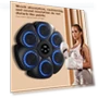 Smart Musical Boxing Trainer — Boxing Training Gear, Crowner