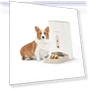 Smart Programmable Dry Food Dispenser for Dogs and Cats — Smart Pet Feeders, Petwant