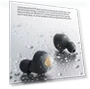 TWS Bluetooth 5.3 Earphone with AI Call Noise Cancelling — In-Ear Headphones, EDIFIER